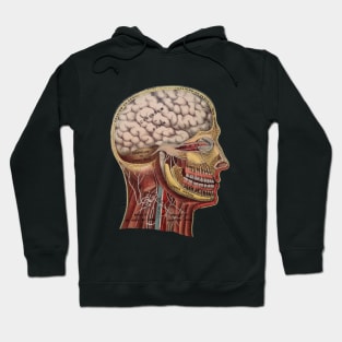 Vintage Human Head Anatomy Hoodie